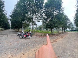 bán lô góc tái định cư đại học quốc gia cắt lỗ trước tết