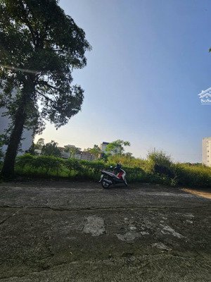 cắt lỗ bán đất hồ vai réo phú cát