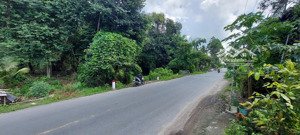 bán đất mt tỉnh lộ 955b tri tôn, an giang - đấu giá rõ ràng, minh bạch