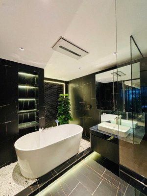 hiếm -đập thông 2 căn p7 times city 162m² + 30m vườn, full nội thất đẹp, 25 tỷ