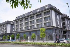 AN CỰU GALLERIA - ĐÓN SÓNG ĐẦU NĂM, CƠ HỘI VÀNG CHO NHÀ ĐẦU TƯ NHANH TAY