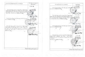 qsdđ thửa đất số: 559, tờ bản đồ số: 41, địa chỉ: phường tân thới nhất, quận 12, tp.hồ chí minh