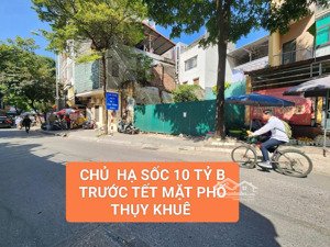chủ hạ chào 10 tỷ trước tết mặt phố thụy khuê 90m², mặt tiền 9m, quá hiếm