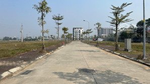 bán đất đấu giá bạch đa kim hoa, mê linh, 100m² nở hậu, mt 5m vuông vắn