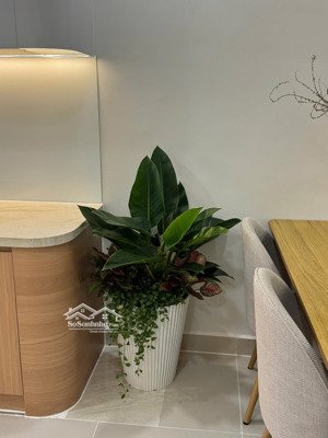 chính chủ bán căn hộ a5-3 mỹ khánh 1 phú mỹ hưng view hồ bơi