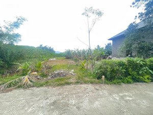 hàng hot! bán đất view suối hòa phong, hòa vang, đà nẵng, giá chỉ 1,2 tỷ, lh 