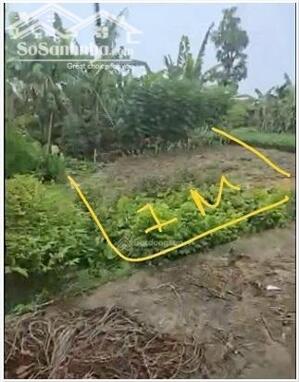 ⭐️Chính chủ bán đất sẵn sổ MT ô tô tránh gần sân bay Gia Bình, Bắc Ninh, chỉ 1,6 tỷ. 0989942828