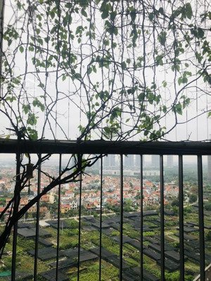 bán 55m2 khu westbay - ecopark giá siêu tốt