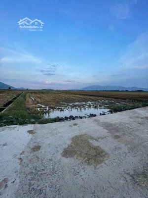 chính chủ bán gấp đất lúa diên sơn - giá rẻ như cho