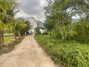 bán đất suối tiên - diên khánh giá chỉ 565 triệu cách đường hl 39 chỉ 100m - nhà xây đông đúc