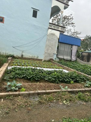 hiếm! duy nhất lô đất vị trí đẹp viên an, ứng hòa, giá hời