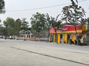 chính chủ gửi bán nhanh lô đất 50m2 x mt 4,2m. lô góc - ô tô vào tận cửa - 30m ra ô tô tránh.