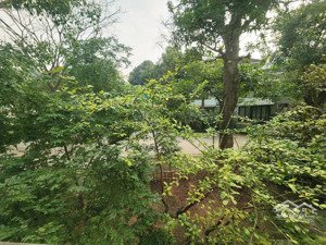 bán căn biệt thự đơn lập lõi vườn tùng, khu đô thị ecopark hưng yên