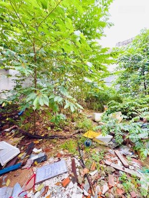 siêu hiếm lô đất đẹp 100m2 - ngang đẹp 8m - hẻm xe hơi p.25 ngay đh ngoại thương - xây chdv