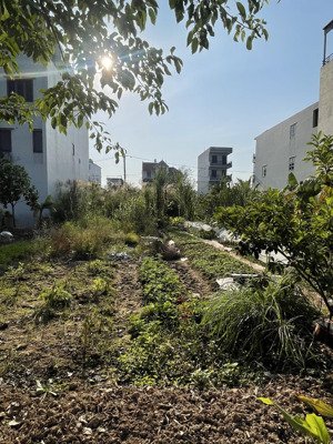 [tin nóng] bán đất dịch vụ lại yên - vỉa hè cống hộp ô tô tránh- kinh doanh bất chấp - nhỉnh 7t