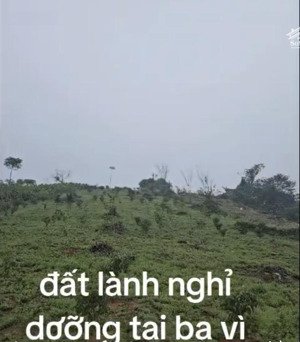 tôi cần bán 3 sào đất nghỉ dưỡng sườn đồi, view núi, đã có sổ đỏ. giá chỉ 2.75 tỷ