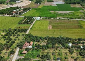 2650m2 đất phường tân triều, đường bê tông thông qua tỉnh lộ 768, xung quanh đầy đủ chợ, trường học