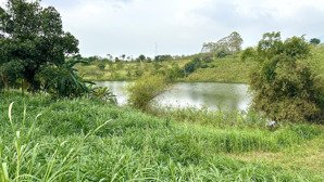 cần bán view hồ đập vống 1870m2, tc 250m2, mt 21m tại thôn đầm sản xã minh quang cũ