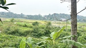 gia đình tách bán 6 sào = 2160m2 view cánh đồng, suối chảy qua gần 80m tại thôn lặt xã minh quang