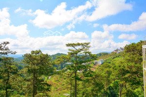 chủ hạ giá cần bán gấp trước tết, 300m2 tách được 4 lô liên kế sân vườn view rừng thông vĩnh viễn