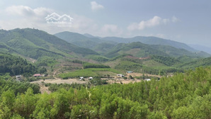 bán đất giá chỉ 70k/m2 rộng 6.700m2 làm vườn gần đường nhựa hương lộ 62 xã khánh phú, khánh vĩnh