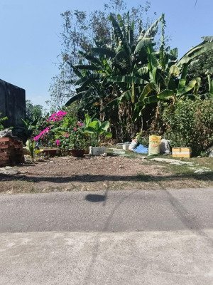 bán đất tại huỳnh thị mài, 2,59 tỷ, 73,5 m2, hóc môn, tp.hcm