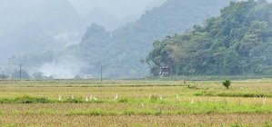 chỉ 720tr sở hữu ngay view đỉnh chóp hàng xóm hà nội 2 bên tân lạc hòa bình bán gấp trước tết