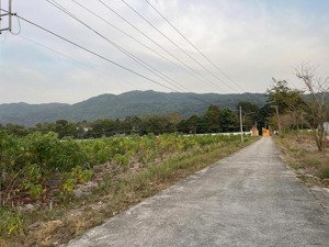 bán đất tân hòa 175m² - đường đất 3m - giá 1,62 tỷ - sang tên ngay lh 