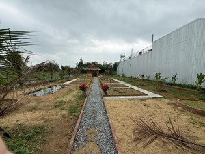 hàng hiếm! bán lô đất đẹp trà kiểm 1, hòa phước, đà nẵng, giá chỉ 6,5 tỷ, lh 