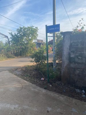 em cần bán vài lô đất full thổ cư sẵnđược xây nhà ngay tại xã xuân đông, cẩm mỹ, đồng nai.