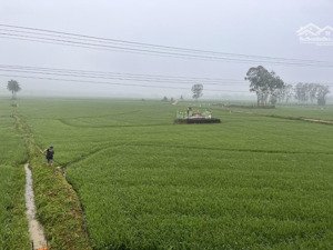 bán đất tại bắc nam, hiệp phước, nhà bè, hcm, 15 triệu / m2, 15000 m2