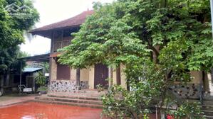 Bán siêu biệt 1021m2 thổ cư 600m2 mặt tiền rộng tại Thiếu Khanh - Bình Xuyên - Phú Thọ