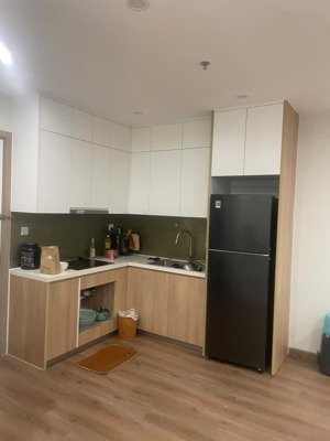 bán căn hộ 1n+ vinhome smart city