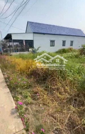 chính chủ cần bán đất thổ cư liền kề 472.7m2 tại đường xóm mới, xã tân lân, huyện cần đước 2,5 tỷ