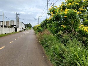 cơ hội vàng đầu tư đất mặt tiền tp.hcm (brvt cũ)