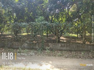 đất lớn cầu mên xã bình an - long thành đón đường & đô thị - dt: 2.325m2 - giá: 9 tỷ