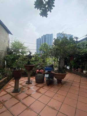 bán nhà 3t dt185m2-mt8.2m-gara ôtô 7 chỗ-sân vườn mát hàng xóm ciputra phú thượng-tây hồ.giá:27.5tỷ