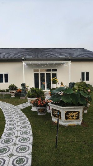 bán nhà vườn view núi bà đen, diện tích 1.368m2, khuôn viên vườn cây ăn trái trưởng thành