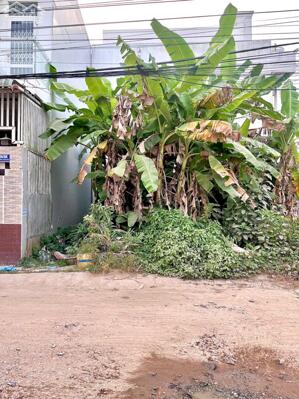 Bán Nền Trục chính KDC Dầu Khí - Gần ĐH FPT, Nam Cần Thơ, Bệnh viện Nhi, SIS, Ung Bướu