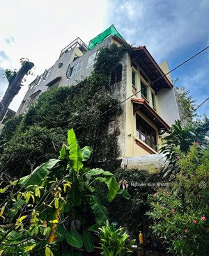 hẻm xe hơi nguyễn văn trỗi - nhà 5 tầng phong cách châu âu - 8pn có thang máy - doanh thu 50tr/th