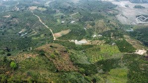 1299.8m2 đất vườn view đồi, sổ sẵn. yên tĩnh, an yên, phát triển dài hạn