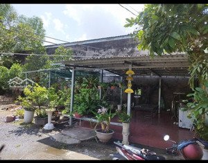 1000m2 nhà vườn 1/ ngắn đường bình mỹ chỉ 2.9 tỷ tl