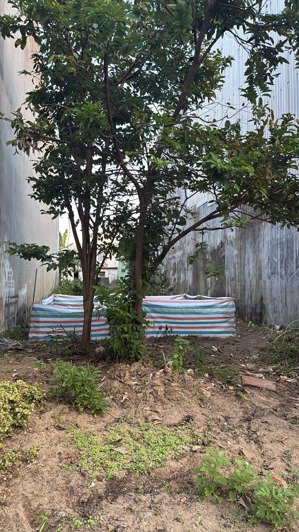 bán gấp đất tại trần đìnbán gấp đất tại trần đình phong, 123m2, giá thỏa thuận, điện bàn, quảng nam