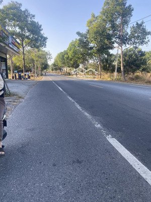 về với thiên nhiên sát rừng gần biển - đường hiện hữu 32 m !!! siêu đầu tư