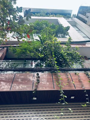 chỉ 20.2 tỷ - phân lô ô tô phố vạn bảo - 50m2 - 6m mặt tiền - 4 tầng - 2 mặt thoáng trước sau -hiếm