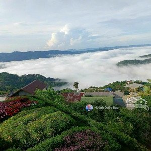 bán gấp đất nền tại xã trạm hành, 5,091 tỷ, 462,8 m2, pháp lý đầy đủ