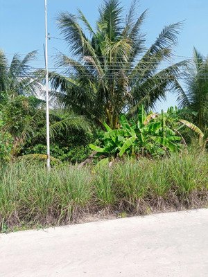 bán đất tại xã đức thành, yên thành, nghệ an, 2,2 tỷ, 527m2, giá siêu hời