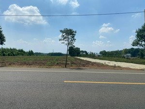 bán đất kdc phú mỹ avenue 5x24,6m nằm trên đại lộ võ văn kiệt gần cảng quốc tế cái mép thị vải vt