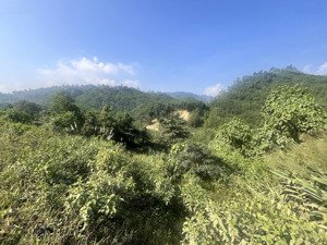 bán trang trại, khu nghỉ dưỡng tại nhà phố thương mại phú xuân 5, giá cực chất 22 triệu/m2, 12000m2