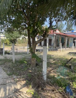 bán đất biển tam tiến núi thành